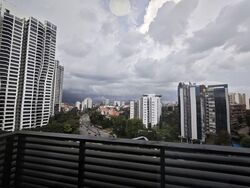 Leedon Green (D10), Condominium #566094471